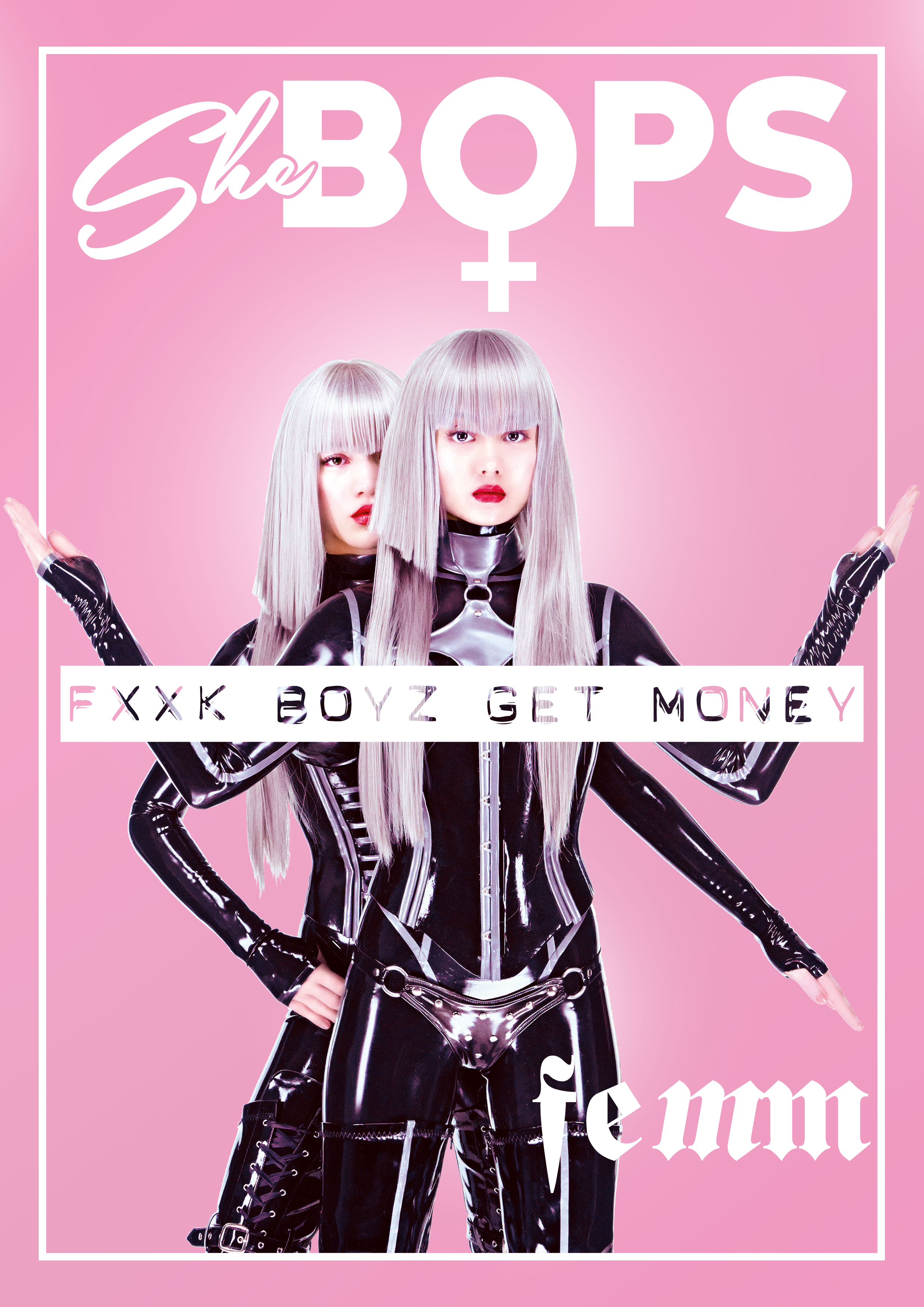 FEMM.png